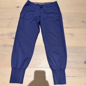 Patagonia Navy Joggers